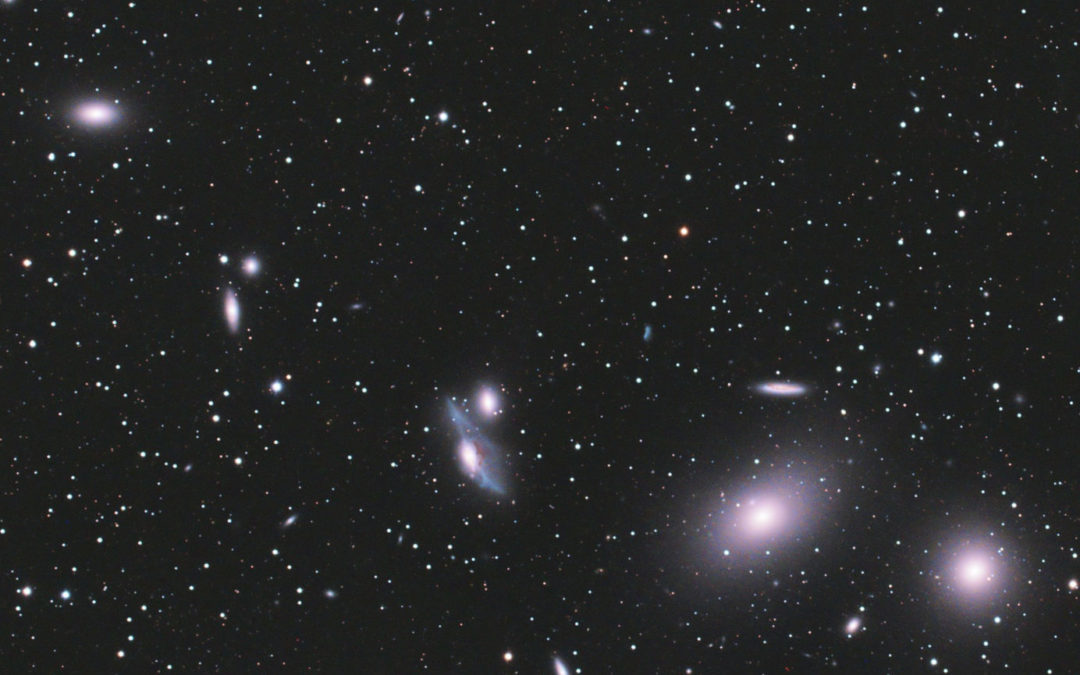 Markarian’s chain