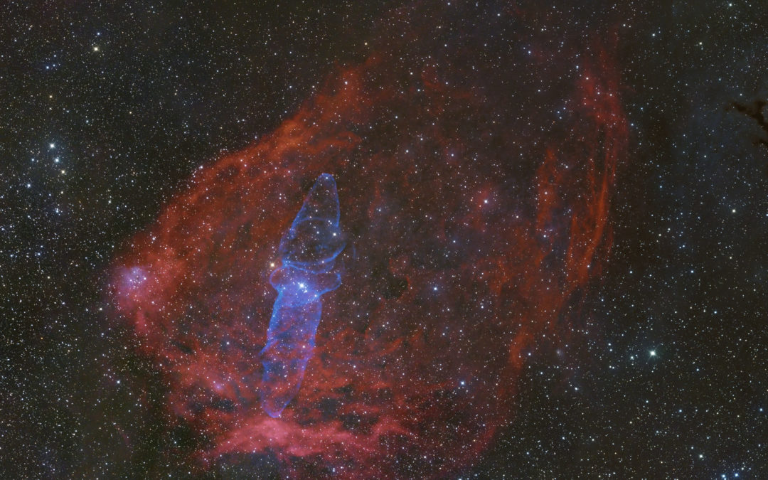 Cepheus nebulae (Southern region)