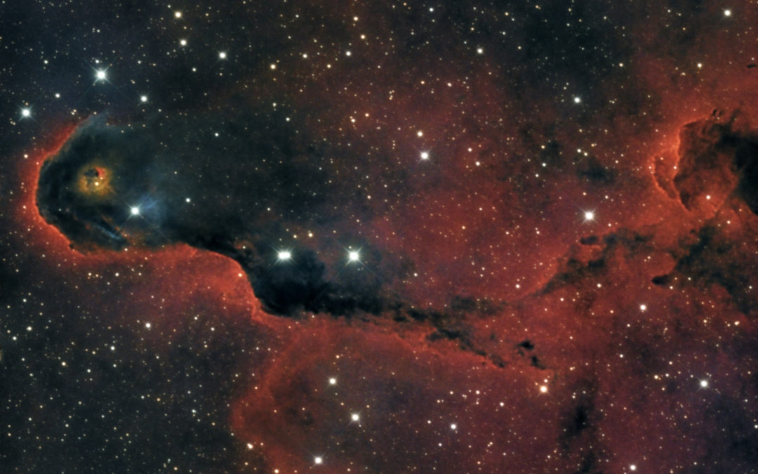 IC 1396