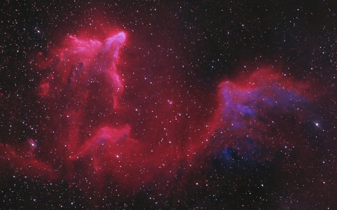 IC 59 and IC 63