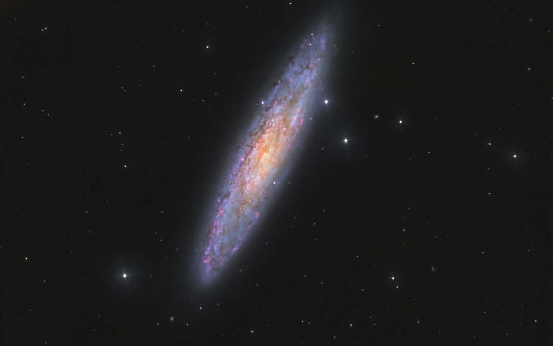 NGC 253, the Sculptor galaxy