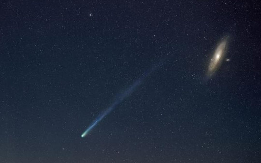 Observation de la comète 12P/Pons-Brooks en avril 2024