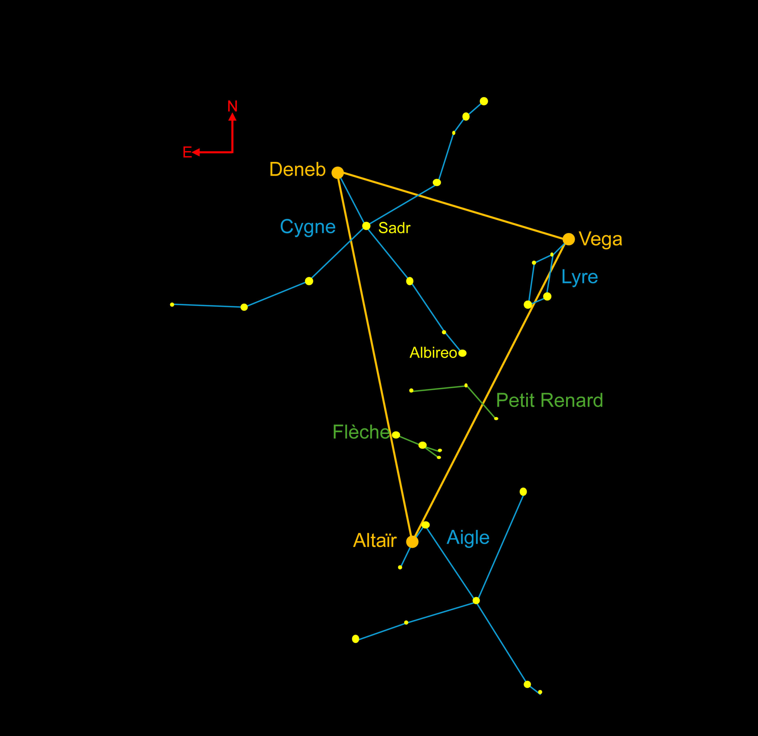 Infographie