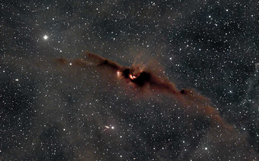 LDN 43, The Cosmic Bat