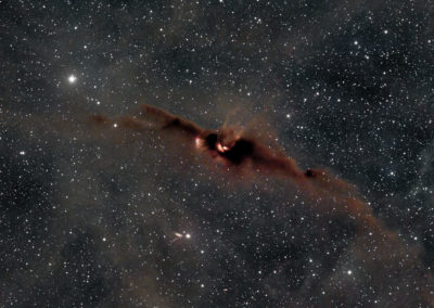 LDN 43, The Cosmic Bat