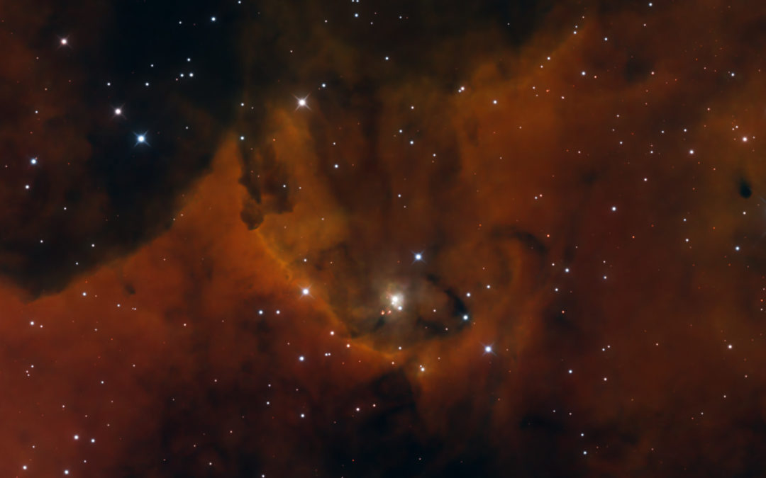 BD+40 4124