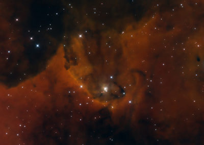 BD+40 4124