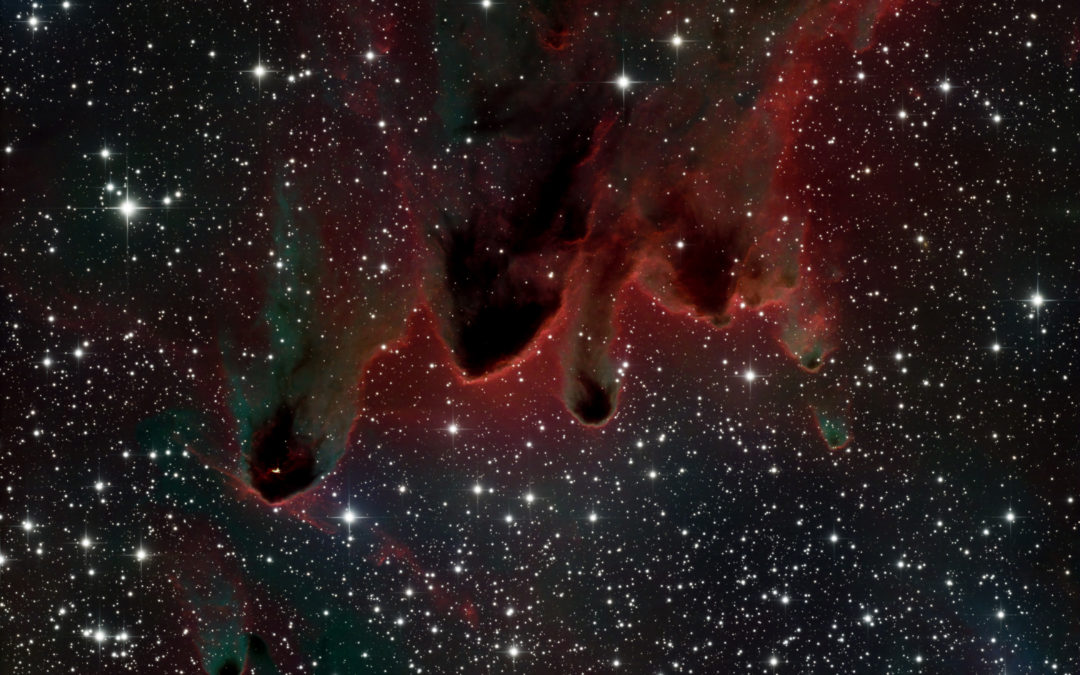 CG 30 and CG 31