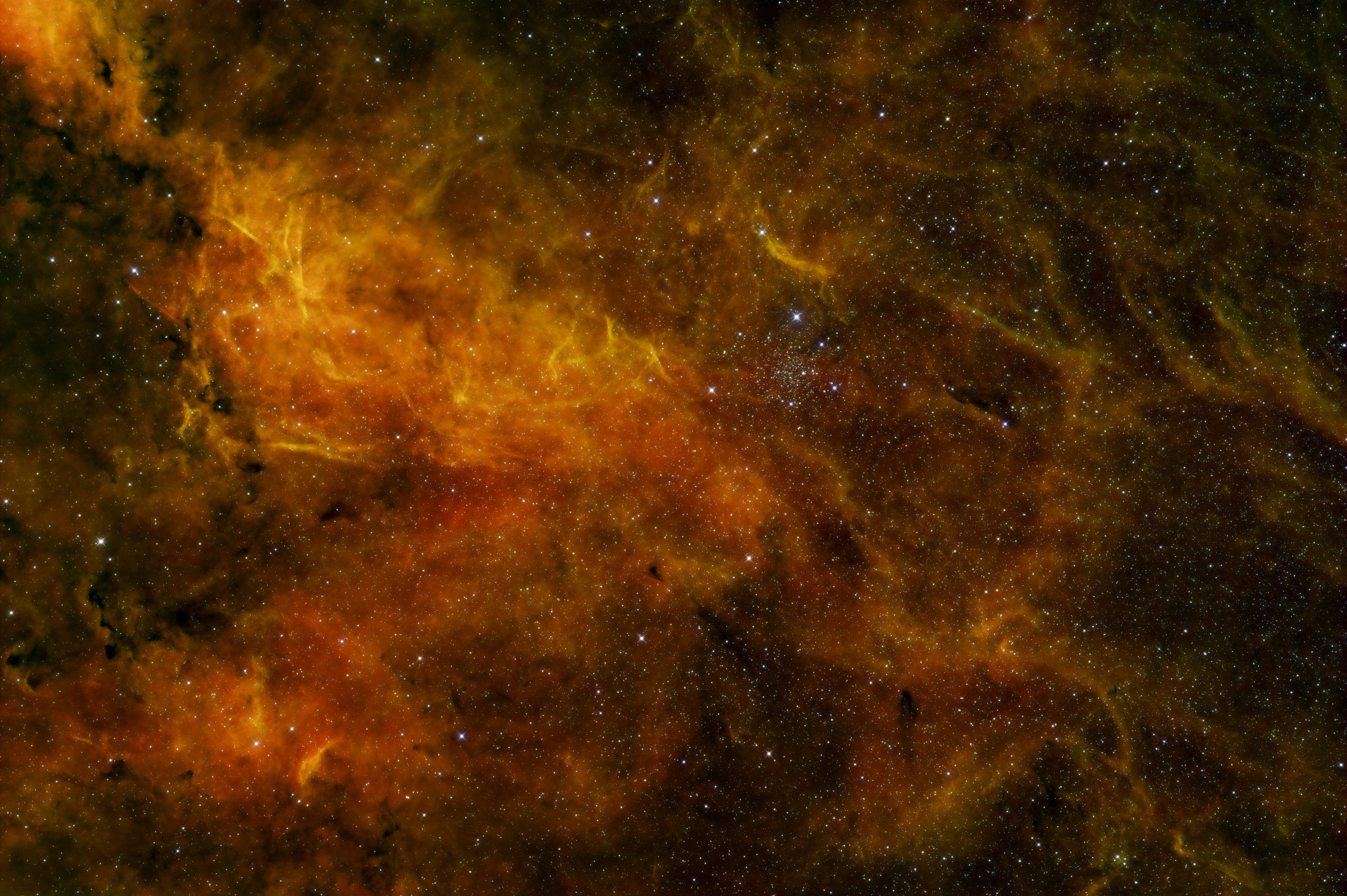 IC1311-HS-RSH