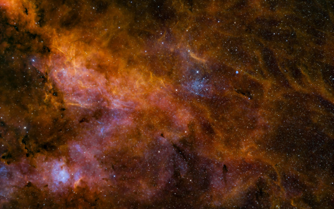 IC 1311
