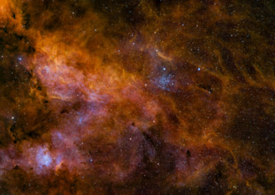 IC 1311